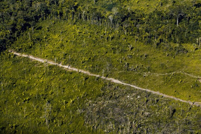 Conselho Monetário Nacional adia exigência ambiental para concessão de crédito rural
