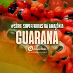 Guaraná, fonte natural de cafeína