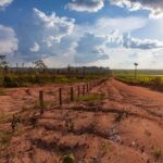 Leis fundiárias na Amazônia facilitam grilagem de terras públicas, aponta estudo
