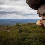 MPF pede prioridade máxima para criar Refúgio de Vida Silvestre após atentado na Serra da Chapadinha