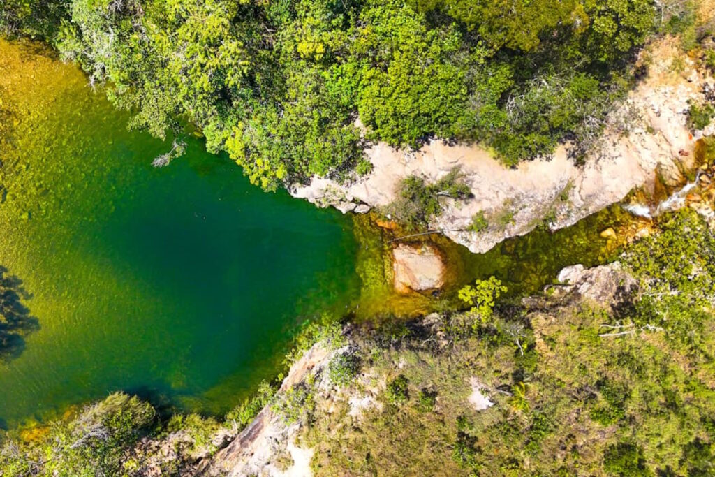 Onça-parda fere criança em trilha na Chapada dos Veadeiros