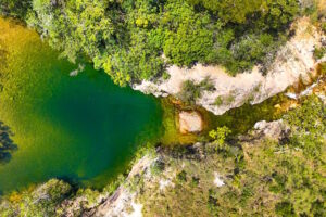 Onça-parda fere criança em trilha na Chapada dos Veadeiros