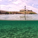 Parque Marinho da Barra existe no papel e carece de gestão em Salvador
