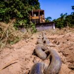 Presidência da COP30 articula plano internacional para conter desmatamento até 2030