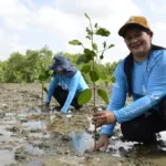 grupo conserva manguezais no Pará