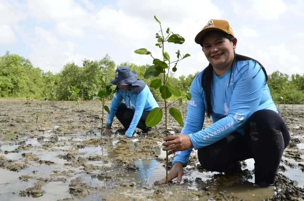 grupo conserva manguezais no Pará