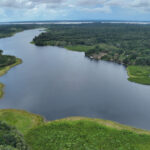 5 lagos amazônicos impactados pelas mudanças climáticas são monitorados no Amazonas e no Pará