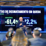 Alerta de desmatamento na Amazônia cai 61% em maio e registra maior redução da série histórica