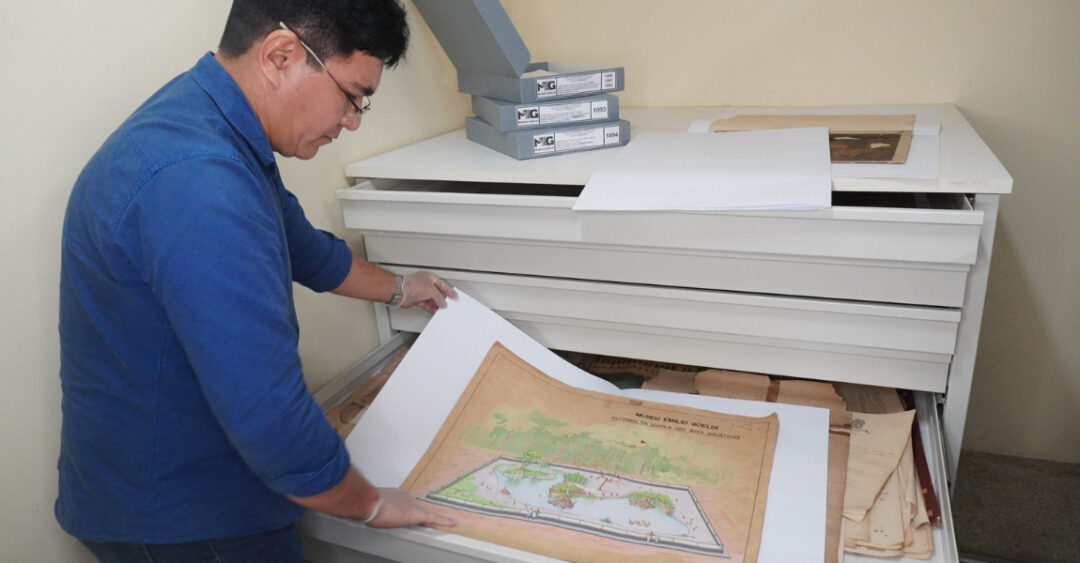 Arquivo do Museu Goeldi apresenta pesquisas em coleções documentais