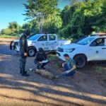 Avanço de pastos e lavouras aumenta acidentes em rodovia de São Paulo 