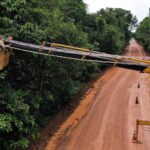 Brasileira recebe prêmio da National Geographic por solução que reduz atropelamentos de fauna
