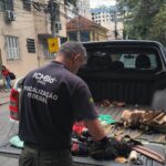 Caçadores são presos em flagrante no Parque Nacional da Tijuca