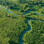Consulta pública sobre nova UC no Pantanal tenta combater desinformação sobre a proposta