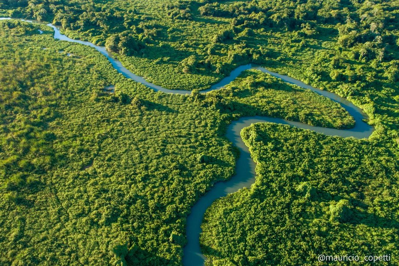 Consulta pública sobre nova UC no Pantanal tenta combater desinformação sobre a proposta
