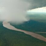 Florestas sem destino definido sustentam rios voadores na Amazônia, aponta estudo