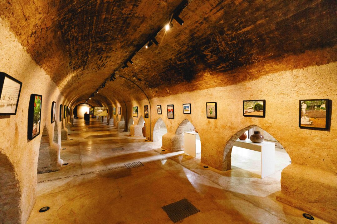 Poesia visual é tema de imersão cultural em museu de Cuiabá