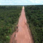 WWF-Brasil defende governança e rigor socioambiental