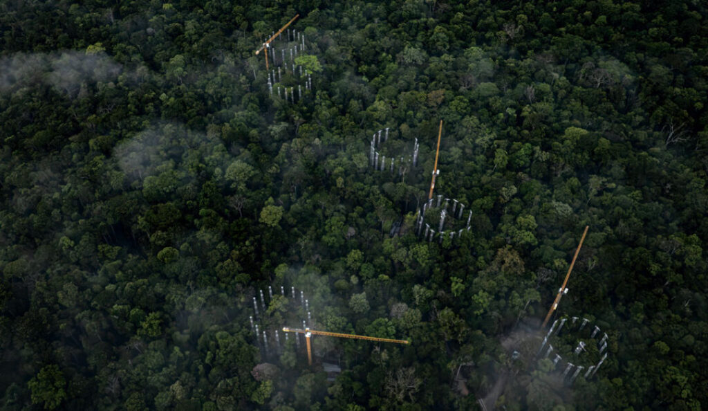 como a Amazônia reage a ambiente rico em CO2?