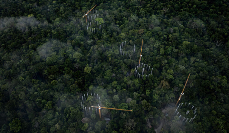 como a Amazônia reage a ambiente rico em CO2?