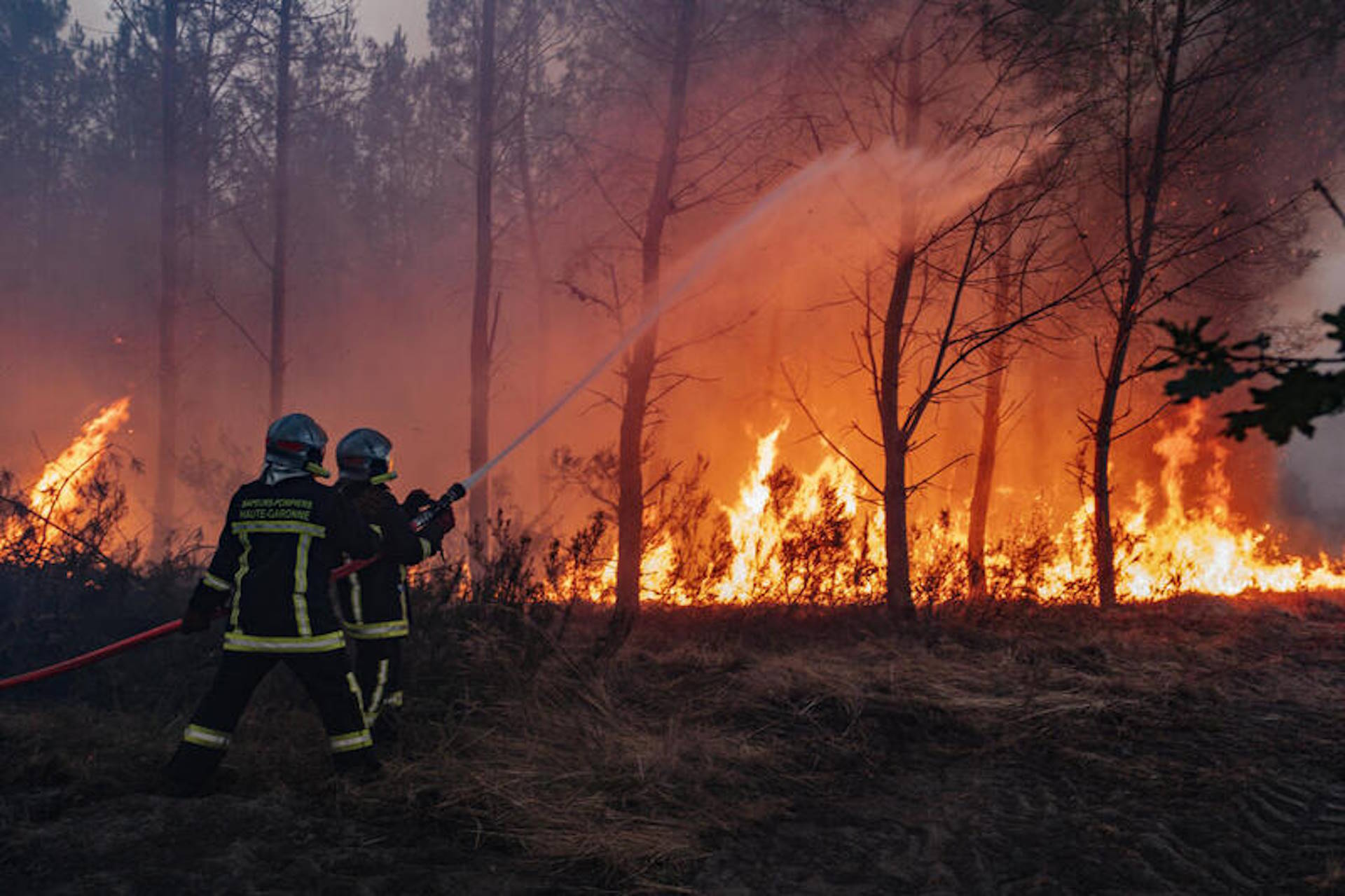 A Era do Fogo: o alerta que vem da França