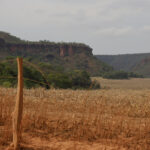 A crise do Cerrado em revisão: – 8.: limites e riscos do Código Florestal