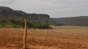 A crise do Cerrado em revisão: – 8.: limites e riscos do Código Florestal