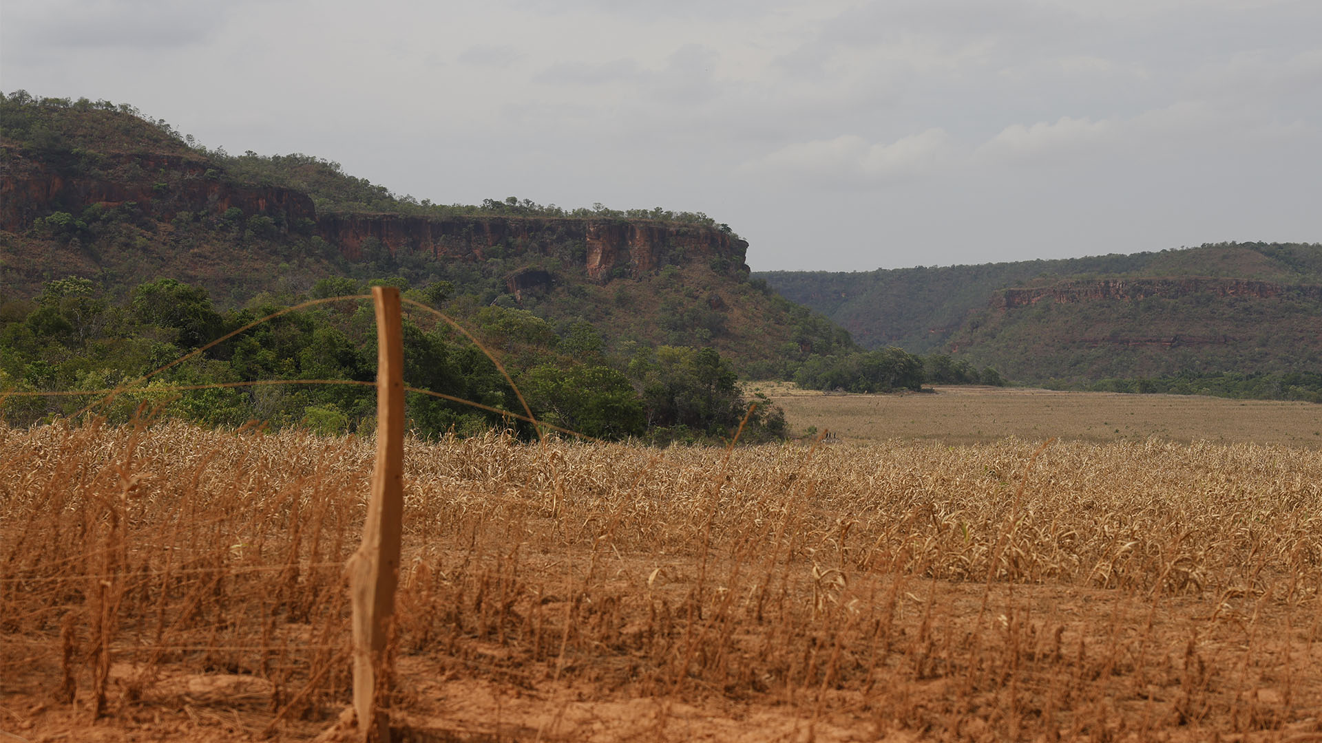 A crise do Cerrado em revisão: – 8.: limites e riscos do Código Florestal