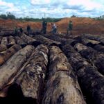 A reconstrução da política ambiental esbarra no déficit de servidores