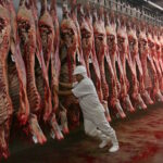 Carne brasileira fica livre de tarifa dos EUA apesar de disputa ambiental