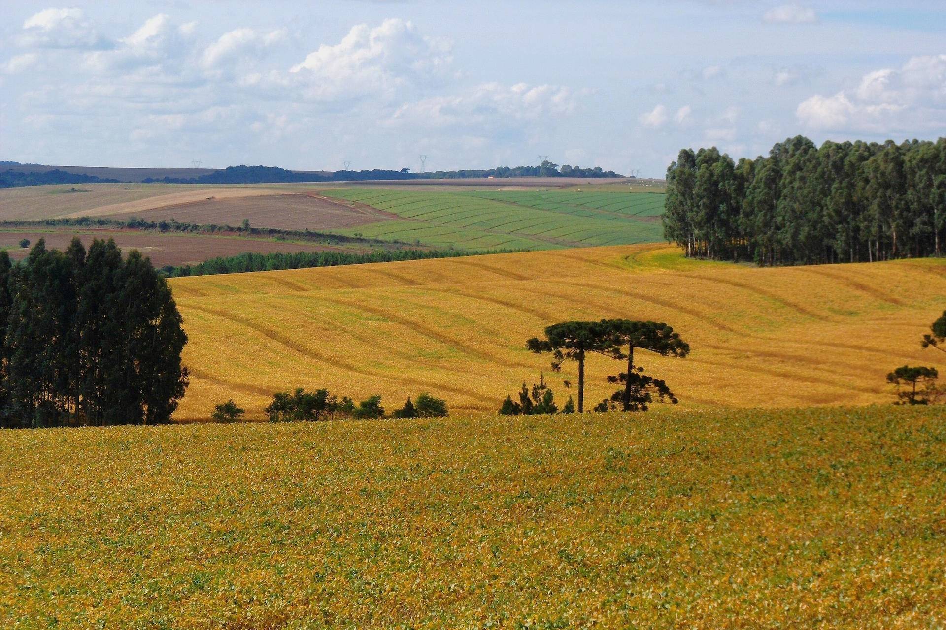 Coalizão Brasil aponta adaptação e uso sustentável da terra como resposta ao Super El Niño