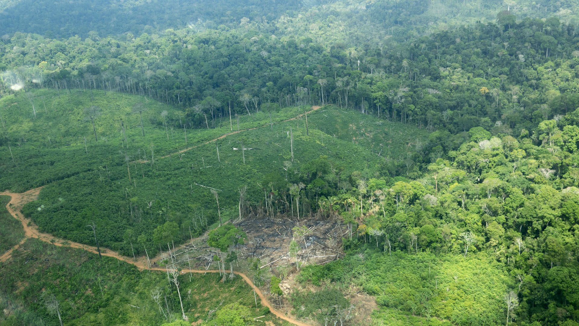 Demora em desintrusão faz crescer tensão na TI Cachoeira Seca, dos Arara
