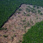 Não à utopia – Amazônia Real