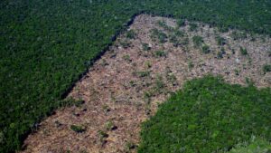 Não à utopia - Amazônia Real