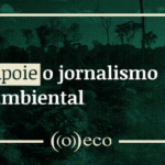 O oceano que nos sustenta e o que está em jogo quando o coral branqueia