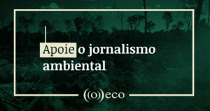 O oceano que nos sustenta e o que está em jogo quando o coral branqueia