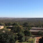 Reserva do IBGE no Distrito Federal é transformada em Estação Ecológica