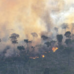 Super El Niño impõe riscos de incêndios florestais na Amazônia