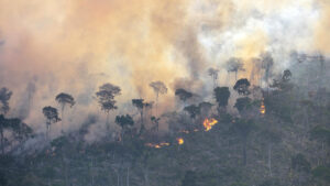 Super El Niño impõe riscos de incêndios florestais na Amazônia
