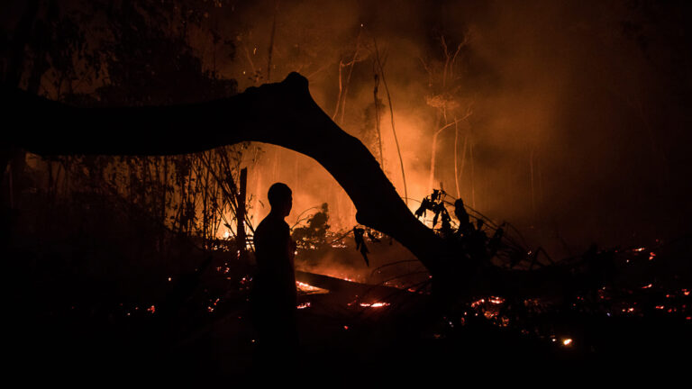 Por que os desmatadores investem em destruir a floresta amazônica – 5: dinâmica do mercado de terras em Apuí