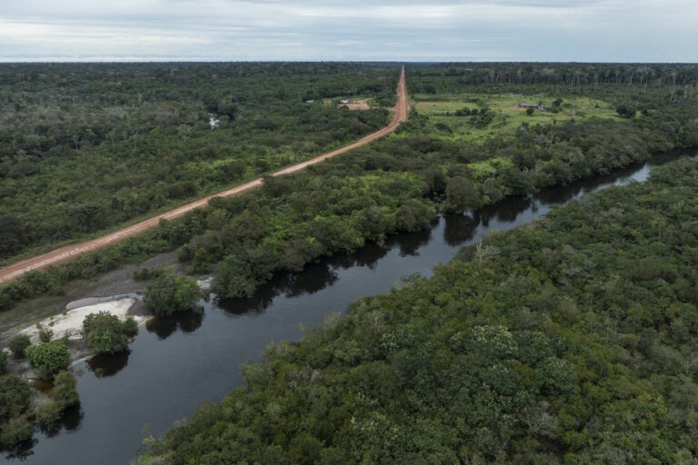 A Amazônia não cabe na mesma linha de crédito