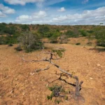 COP17 herda desafios de financiar combate à desertificação