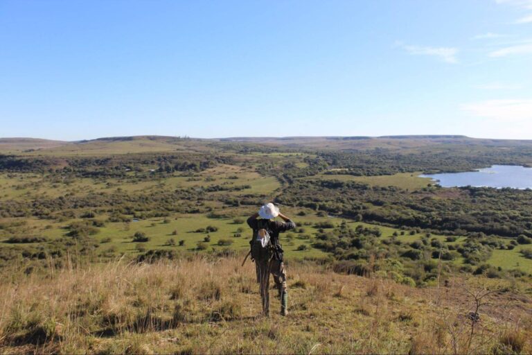 Caminhos do Pampa ganha guia de informações completo