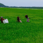 Crise climática expõe crianças e adolescentes na Amazônia