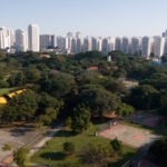 Depois do desmonte, reconstruir a governança ambiental paulista