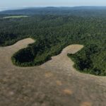 Desmatamento na Amazônia chega ao menor patamar desde 2013