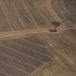 Desmatamento na Amazônia reduz chuvas e compromete produção de grãos no Paraná