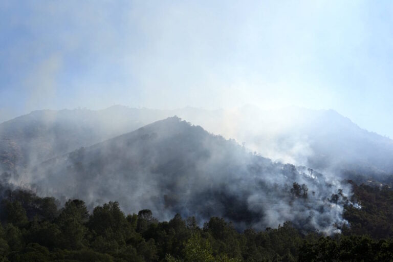 Incêndios florestais elevam emissões a níveis incomuns em várias partes do globo