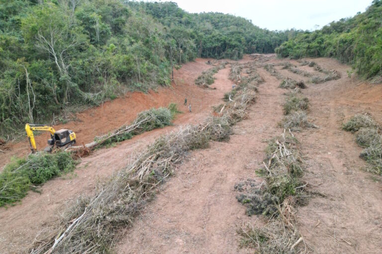 Operação Mata Atlântica em Pé autua mais de 8 mil hectares de desmatamento ilegal