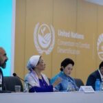 Os desafios da sinergia ambiental global ao fim da COP17