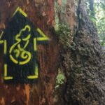 Pegadas amarelas e pretas da Rede Brasileira de Trilhas chegam no maior parque do país
